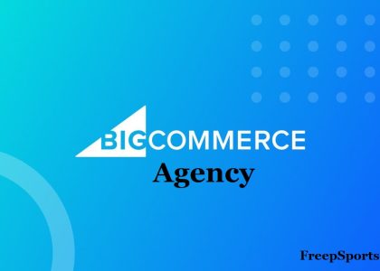 Helpful Tricks for Making the Most of BigCommerce Agency